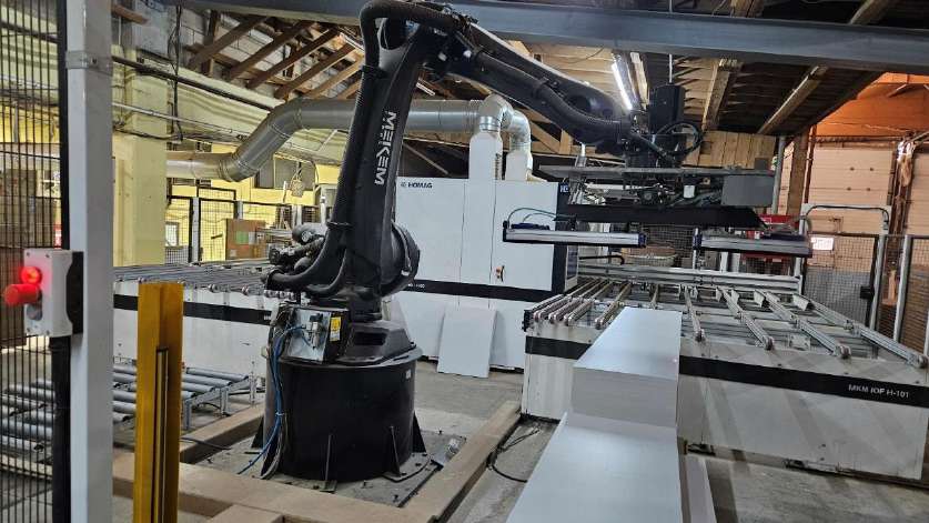 Robotik Otomasyon